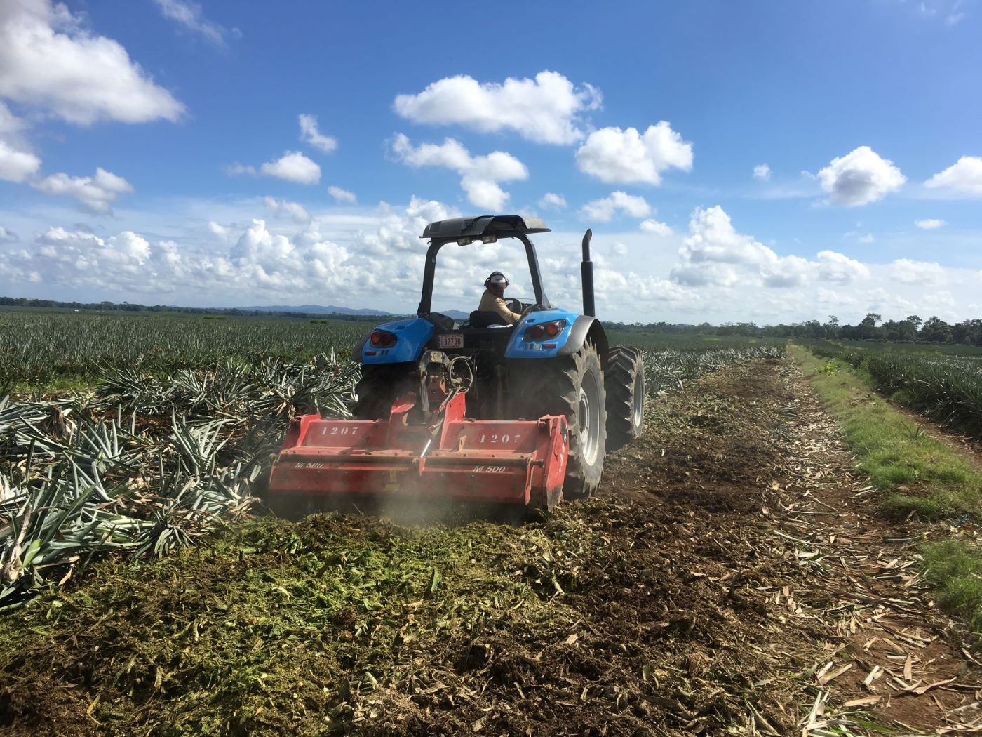 how-to-make-circular-use-of-agricultural-residues-wur